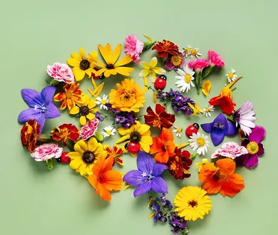 Allgemeinmedizin, Neurologie & Psychiatrie - Medizin in Greven